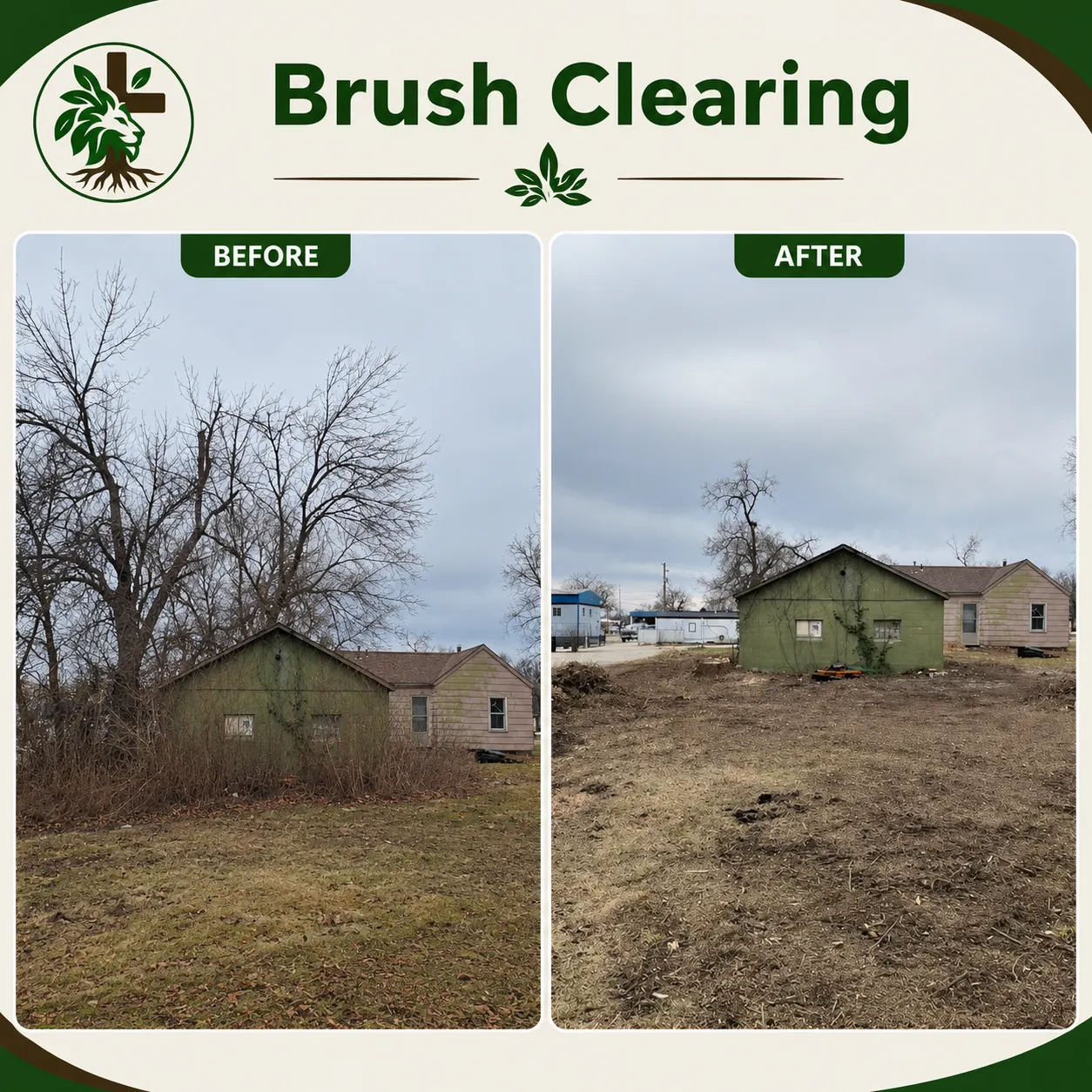 Brush clearing before and after