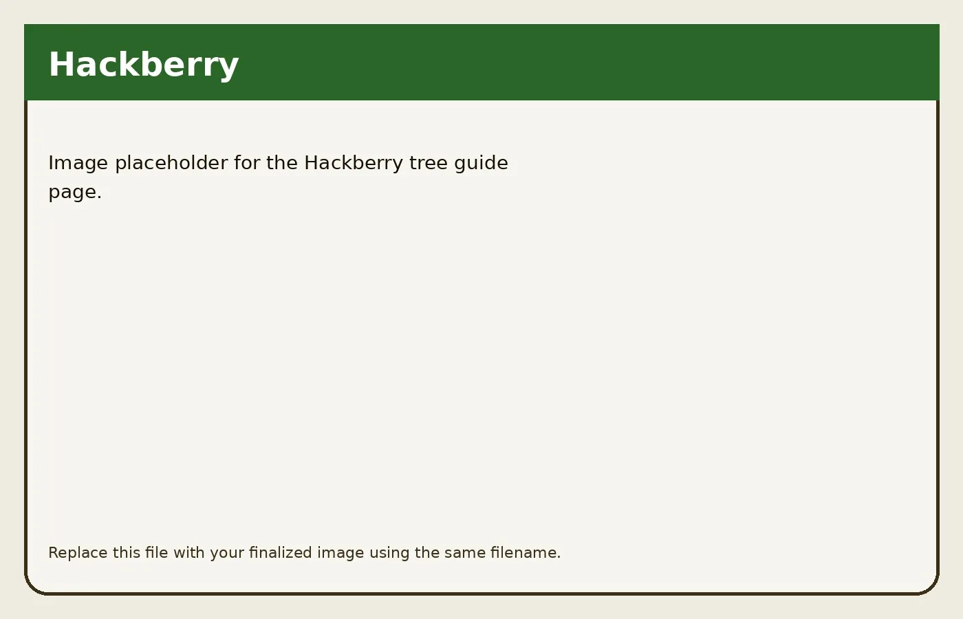 Hackberry