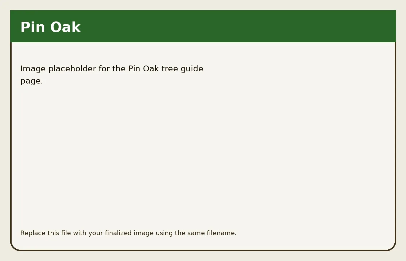 Pin Oak