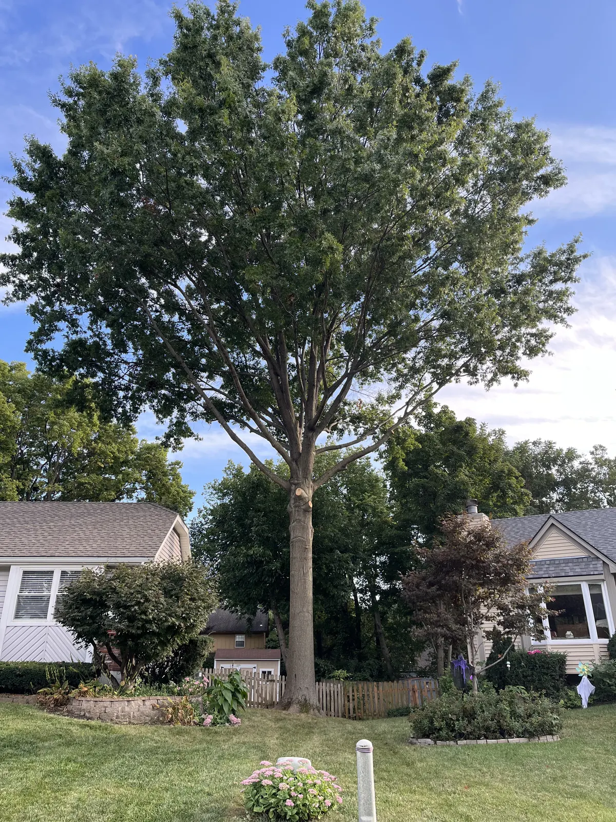 Residential roof clearance