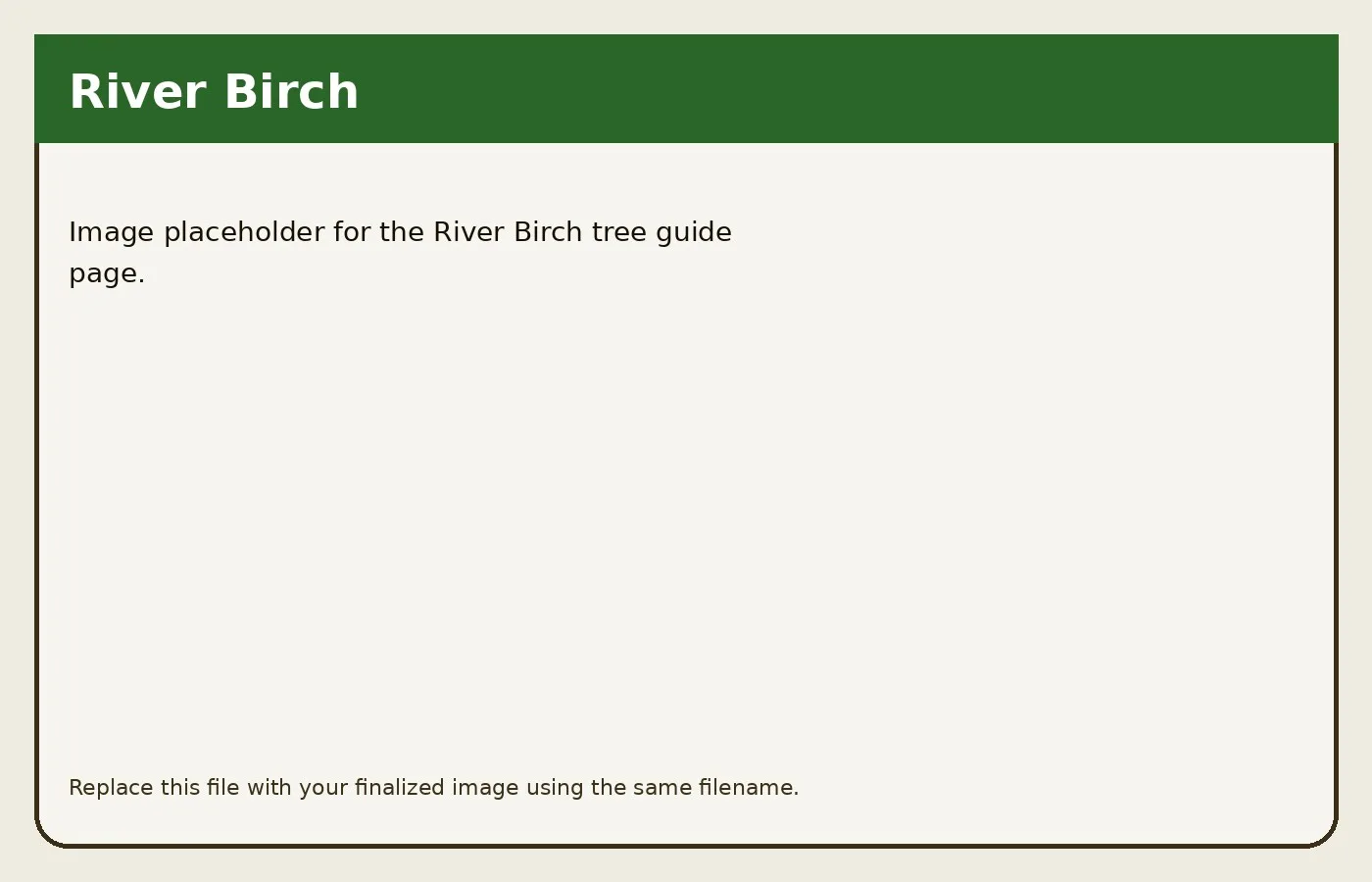 River Birch