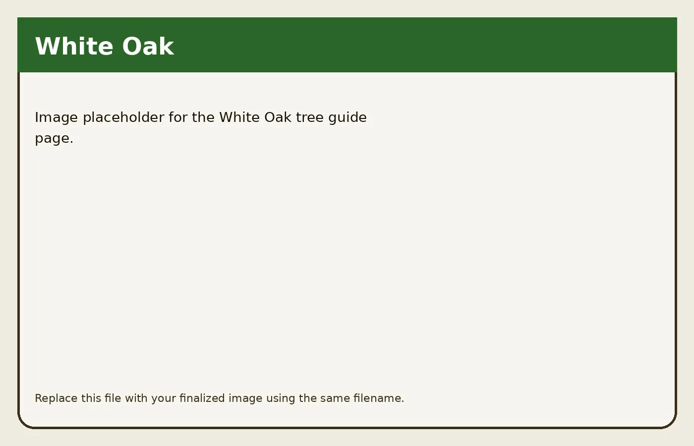 White Oak